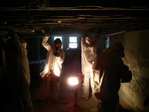 Sandy Streetcar on the Spore Offensive