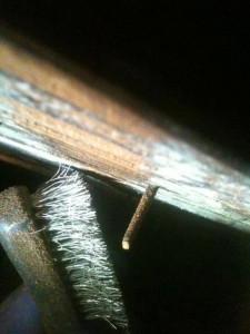 The correct tool for killing mold is a wire brush, not bleach.