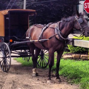 It was the first time we double parked next to one of these vehicles!